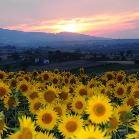 Alloggio per agriturismo Il Casale Treia
